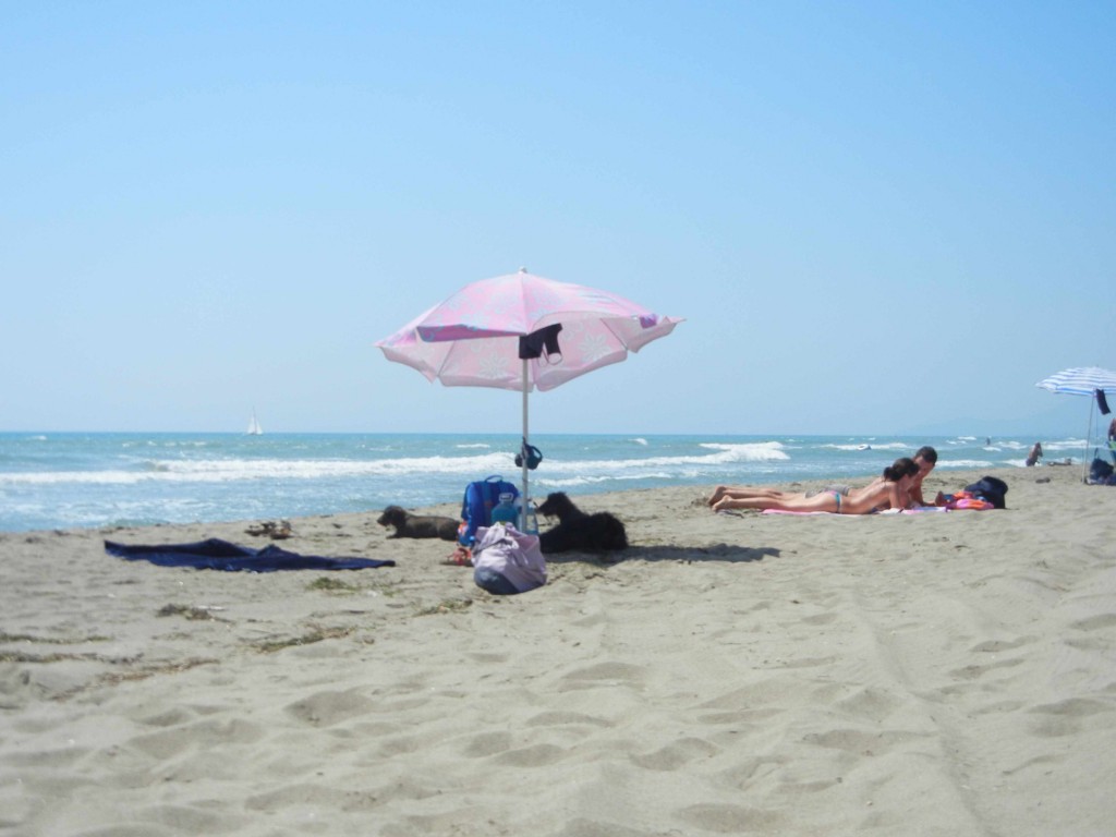 spiaggia le marze per i cani