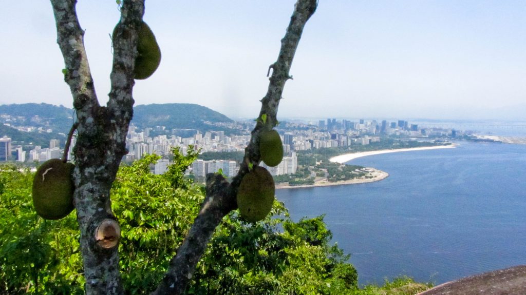 Rio de Janeiro vista dal Pan di Zucchero