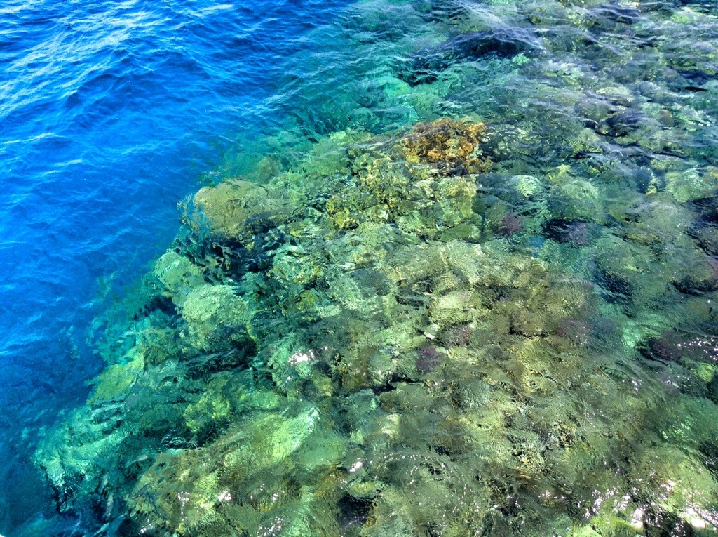 barriera corallina marsa alam