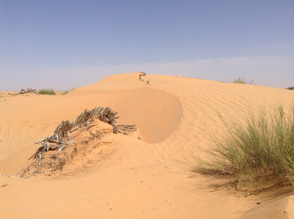 dune di sabbia in tunisia