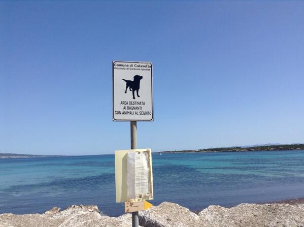 spiaggia per i cani