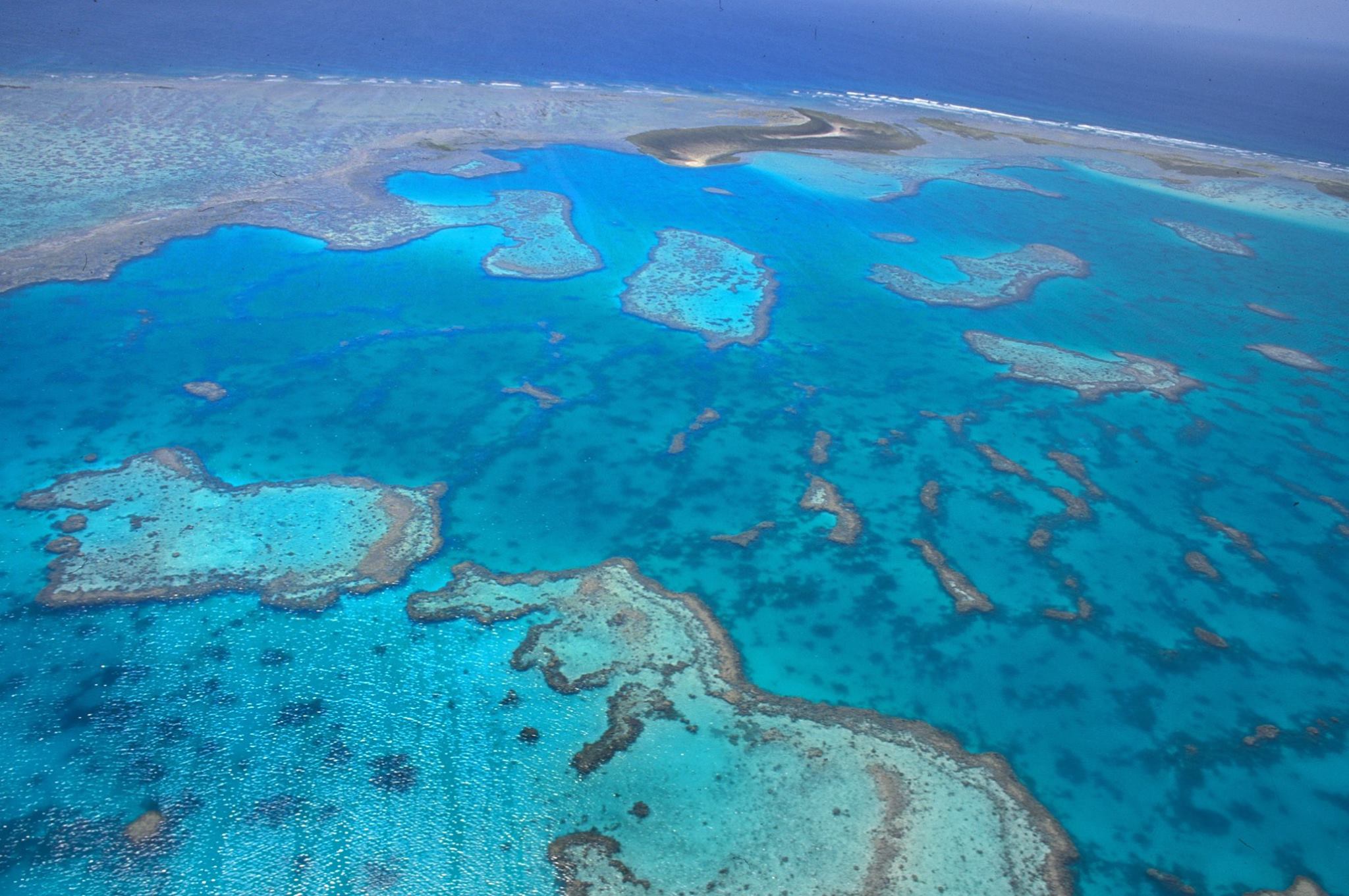 barriera corallina australia