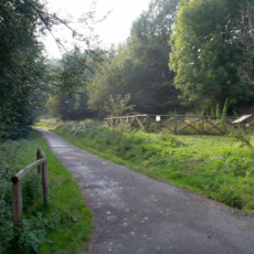 percorso ciclo pedonale parco bergamo