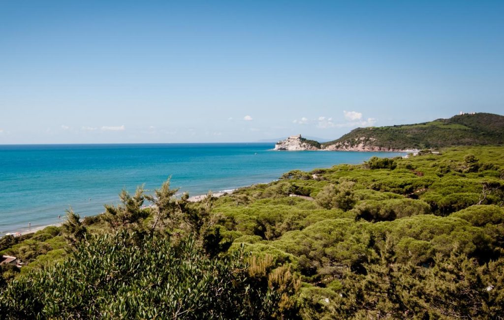 pineta di roccamare in toscana castiglione della pescaia