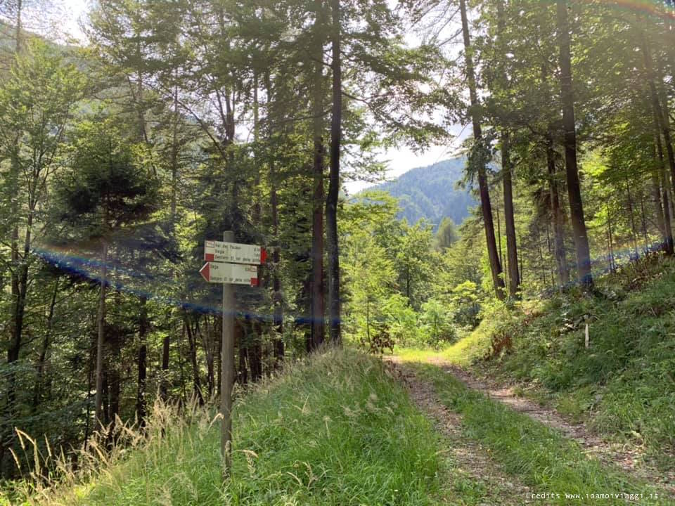 sentieri in montagna