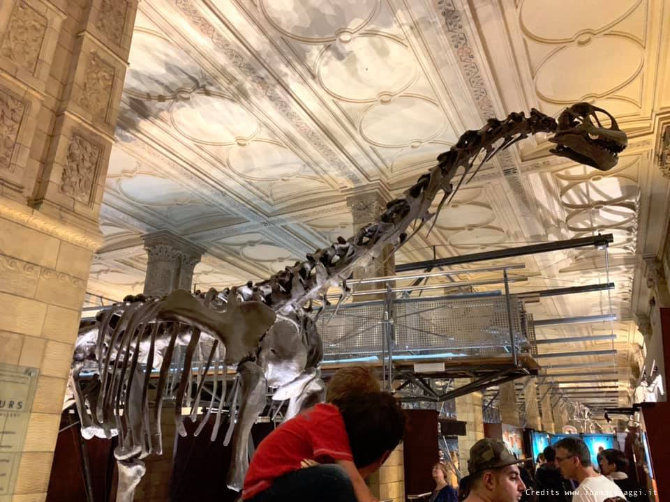 dinosauri londra