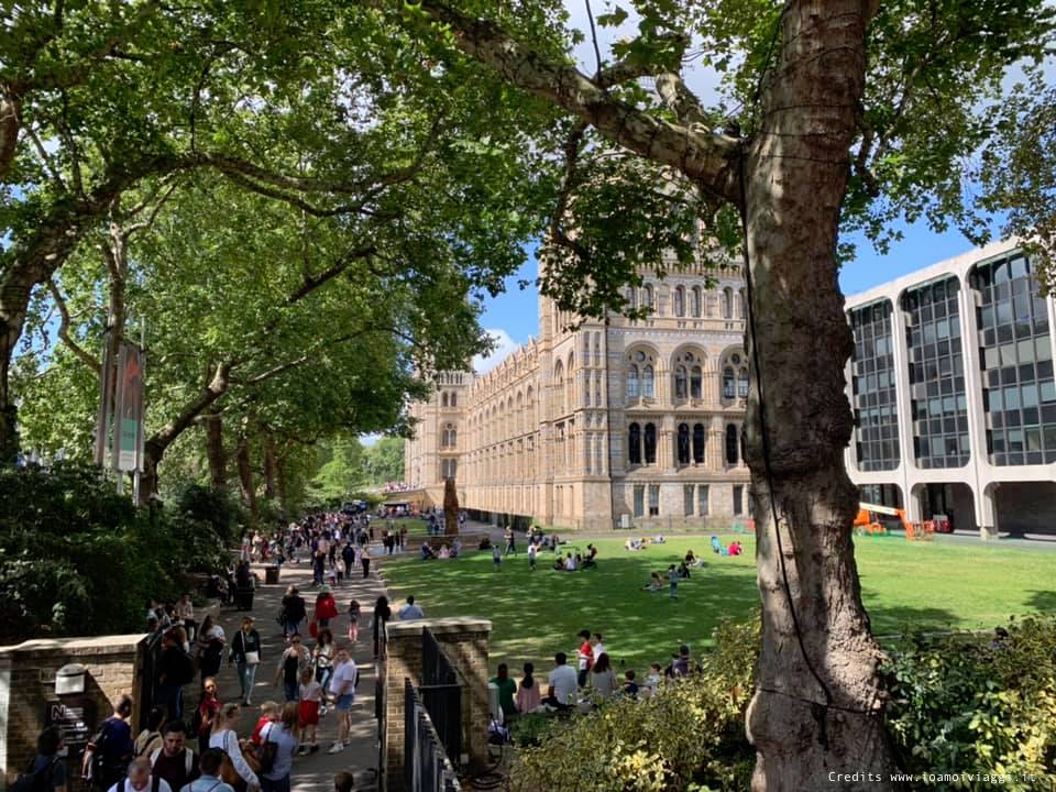 natural history museum