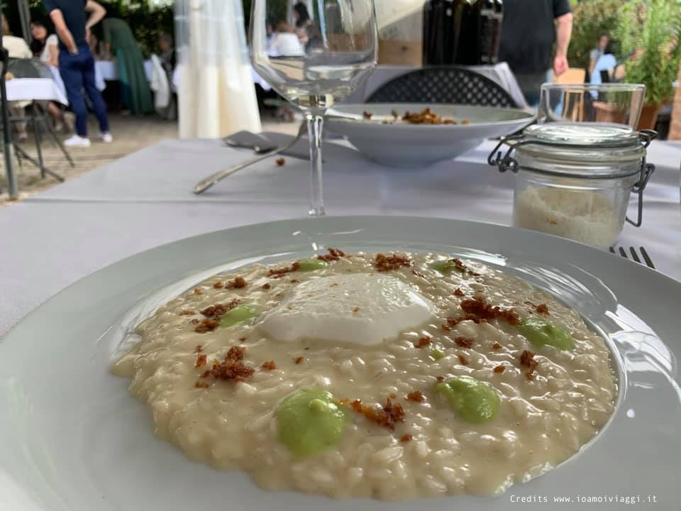 risotto con fave e parmigiano